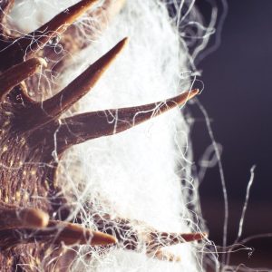 Le Fibre Artificiali Vetrose – FAV