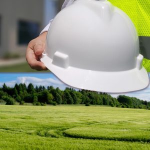 Corso di formazione Modulo B di Specialzzazione – SP1 Agricoltura, Silvicoltura e Zootecnica