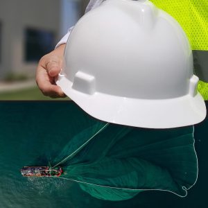 Corso di formazione Modulo B di Specializzazione – Modulo B SP2 Pesca