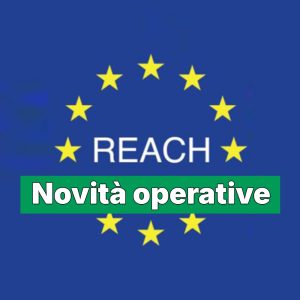 Tematiche avanzate sul Regolamento REACH: le novità operative in vista della revisione di REACH e CLP